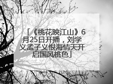 《桃花映江山》6月25日开播，刘学义孟子义恨海情天开启国风桃色