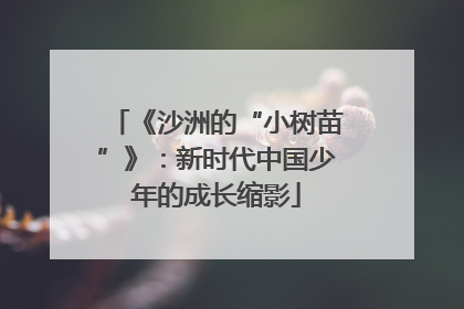 《沙洲的“小树苗”》：新时代中国少年的成长缩影