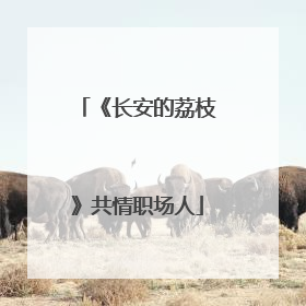 《长安的荔枝》共情职场人