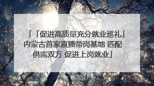 「促进高质量充分就业巡礼」内蒙古首家直播带岗基地 匹配供需双方 促进上岗就业