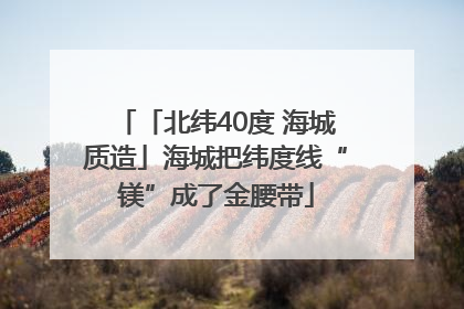 「北纬40度 海城质造」海城把纬度线“镁”成了金腰带