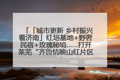 「城市更新 乡村振兴看济南」红培基地+野奢民宿+玫瑰秘境……打开莱芜“齐鲁情映山红片区”的破圈秘籍