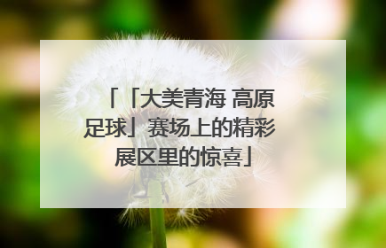 「大美青海 高原足球」赛场上的精彩 展区里的惊喜