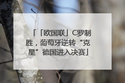 「欧国联」C罗制胜，葡萄牙逆转“克星”德国进入决赛