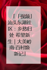 「视频」汕头东湖社区：乡愁归处 希望新生｜大美岭南·百村焕新记