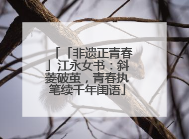 「非遗正青春」江永女书：斜菱破茧，青春执笔续千年闺语