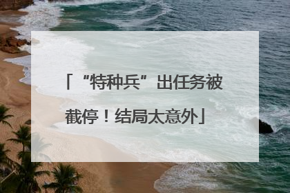 “特种兵”出任务被截停！结局太意外