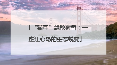 “猫耳”飘散荷香：一座江心岛的生态蜕变