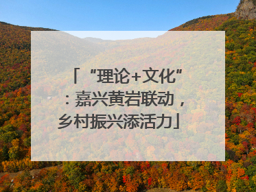 “理论+文化”：嘉兴黄岩联动，乡村振兴添活力