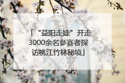 “益阳走娃”开走 3000余名参赛者探访桃江竹林秘境