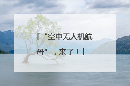 “空中无人机航母”，来了！