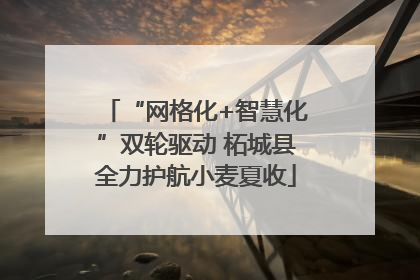 “网格化+智慧化”双轮驱动 柘城县全力护航小麦夏收
