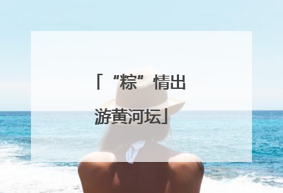 “粽”情出游黄河坛