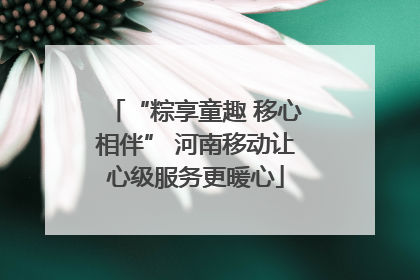 “粽享童趣 移心相伴” 河南移动让心级服务更暖心