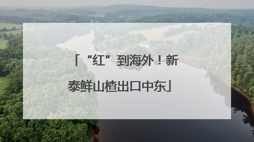 “红”到海外！新泰鲜山楂出口中东