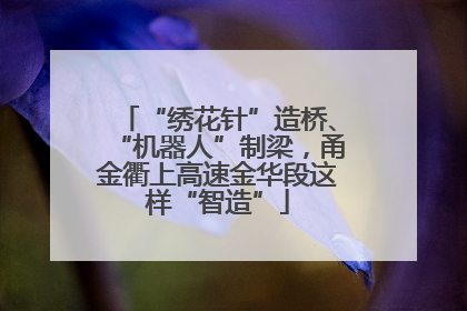 “绣花针”造桥、“机器人”制梁，甬金衢上高速金华段这样“智造”