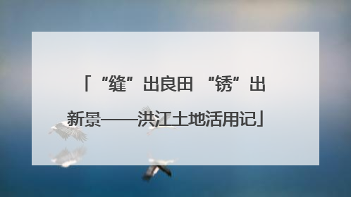 “缝”出良田 “锈”出新景——洪江土地活用记
