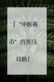 “中医夜市”首秀马耳他