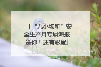 “九小场所”安全生产月专属海报送你！还有彩蛋