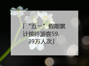 “五一”假期累计接待游客59.39万人次