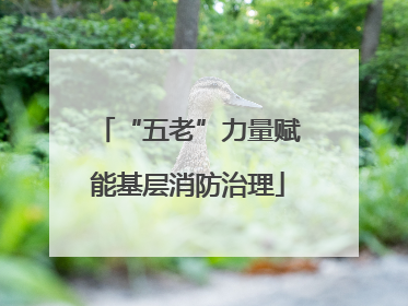 “五老”力量赋能基层消防治理