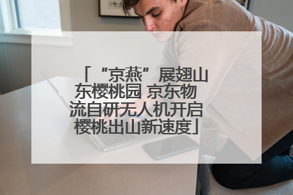 “京燕”展翅山东樱桃园 京东物流自研无人机开启樱桃出山新速度