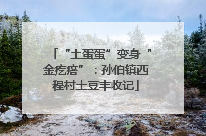 “土蛋蛋”变身“金疙瘩”：孙伯镇西程村土豆丰收记