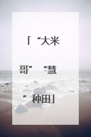 “大米哥”“慧”种田