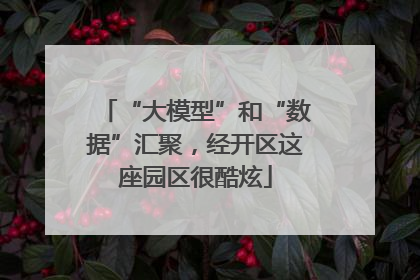 “大模型”和“数据”汇聚，经开区这座园区很酷炫