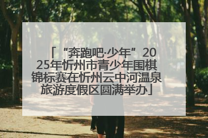 “奔跑吧·少年”2025年忻州市青少年围棋锦标赛在忻州云中河温泉旅游度假区圆满举办