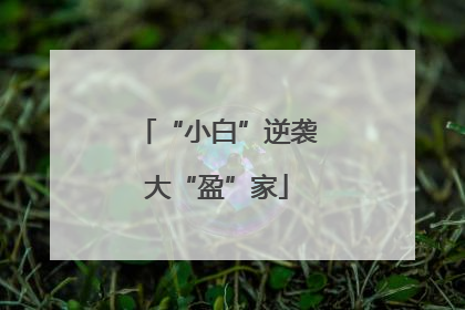 “小白”逆袭大“盈”家