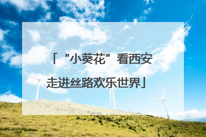 “小葵花”看西安走进丝路欢乐世界