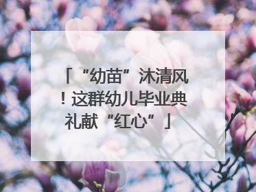 “幼苗”沐清风！这群幼儿毕业典礼献“红心”