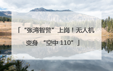“张湾智警”上岗！无人机变身 “空中 110”