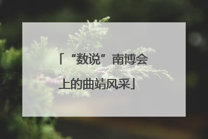 “数说”南博会上的曲靖风采