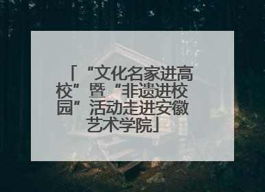 “文化名家进高校”暨“非遗进校园”活动走进安徽艺术学院