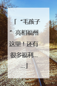 “毛孩子”亮相福州这里！还有很多福利……