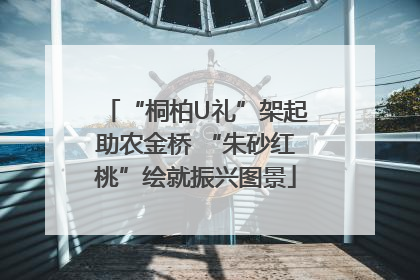 “桐柏U礼”架起助农金桥 “朱砂红桃”绘就振兴图景