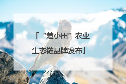 “楚小田”农业生态链品牌发布