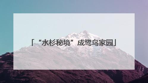 “水杉秘境”成鹭鸟家园