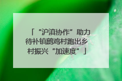 “沪滇协作”助力待补镇鹧鸡村跑出乡村振兴“加速度”