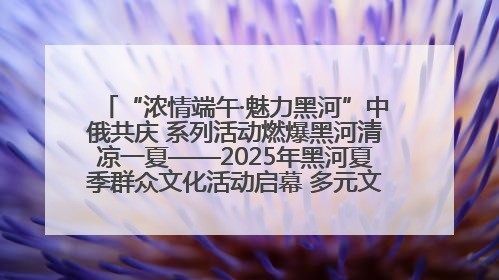 “浓情端午·魅力黑河”中俄共庆 系列活动燃爆黑河清凉一夏——2025年黑河夏季群众文化活动启幕 多元文化赋能边境文旅新高地