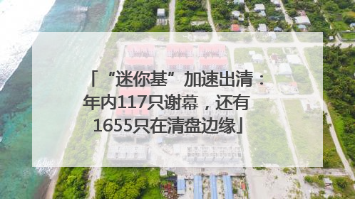 “迷你基”加速出清：年内117只谢幕，还有1655只在清盘边缘