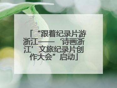 “跟着纪录片游浙江——‘诗画浙江’文旅纪录片创作大会”启动