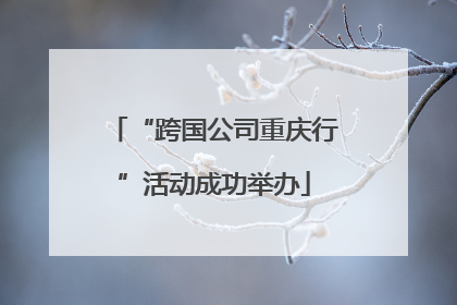 “跨国公司重庆行”活动成功举办