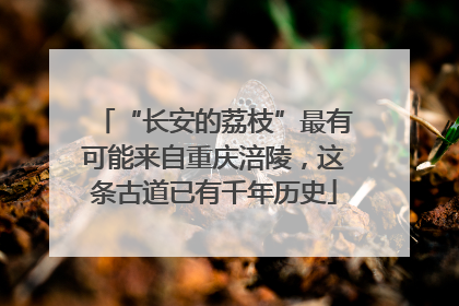 “长安的荔枝”最有可能来自重庆涪陵，这条古道已有千年历史