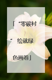 “零碳村” 绘就绿色画卷