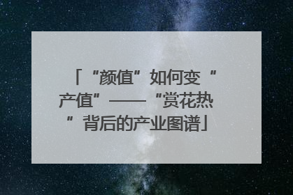 “颜值”如何变“产值”——“赏花热”背后的产业图谱