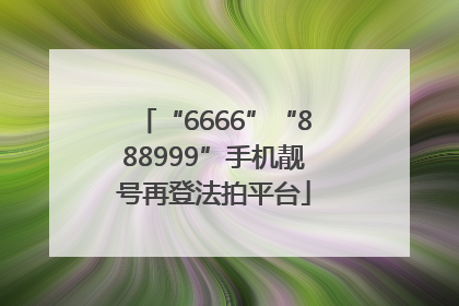 “6666”“888999”手机靓号再登法拍平台