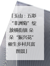玉山：五彩“非洲菊”绽放横街镇 朵朵“振兴花”催生乡村共富图景